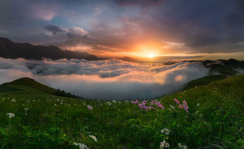 Scenic view of grassy field against sky during sunset