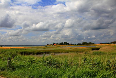 Scenic view of field against sky