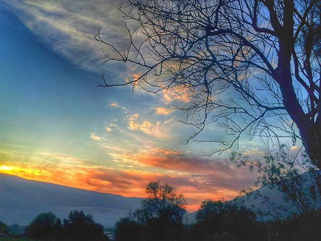 tree, silhouette, sunset, sky, tranquility, scenics, beauty in nature, tranquil scene, bare tree, cloud - sky, nature, branch, idyllic, low angle view, orange color, cloud, dramatic sky, dusk, cloudy, outdoors