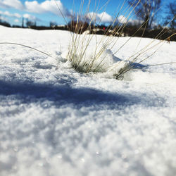 Surface level of snow covered land against sky