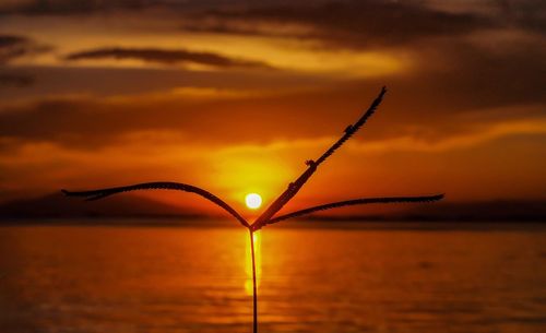 Scenic view of sea against orange sky