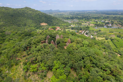 High angle view of trees on landscape