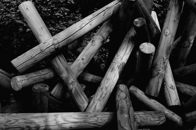 Close-up of logs in forest