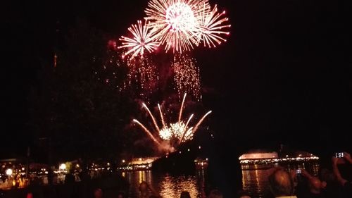 Low angle view of firework display at night