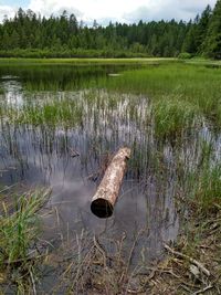 Scenic view of lake