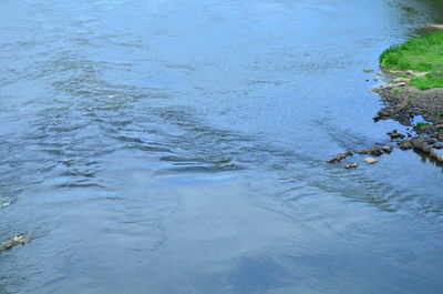 High angle view of rippled water