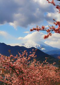 Scenic view of tree mountains against sky during sunset