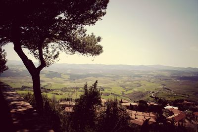 Scenic view of landscape against clear sky