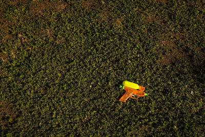 High angle view of yellow leaf on field