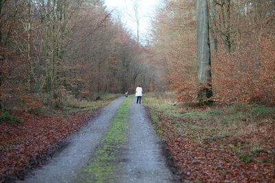 Rear view of person walking on footpath in forest