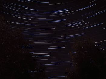 Illuminated trees at night