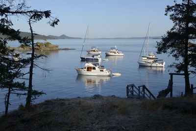 Sailboats moored on sea against sky