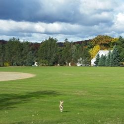 Scenic view of golf course against sky