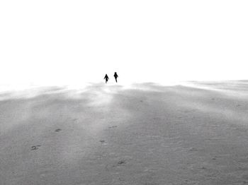 View of people in park