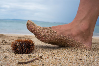 Low section of person on beach