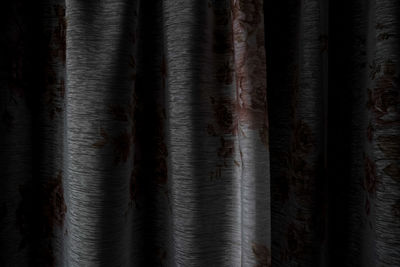 Full frame shot of tree trunk