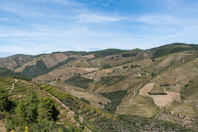 High angle view of farms against sky