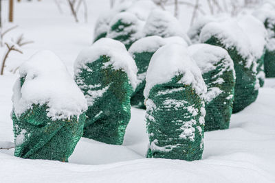snow