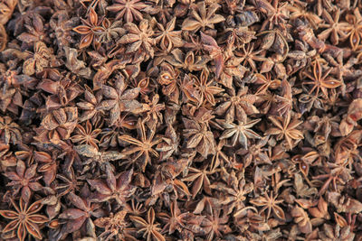 Full frame shot of star anise at market for sale