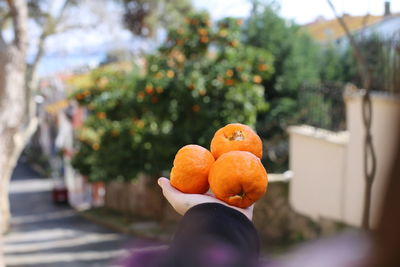 Close-up of hand holding orange