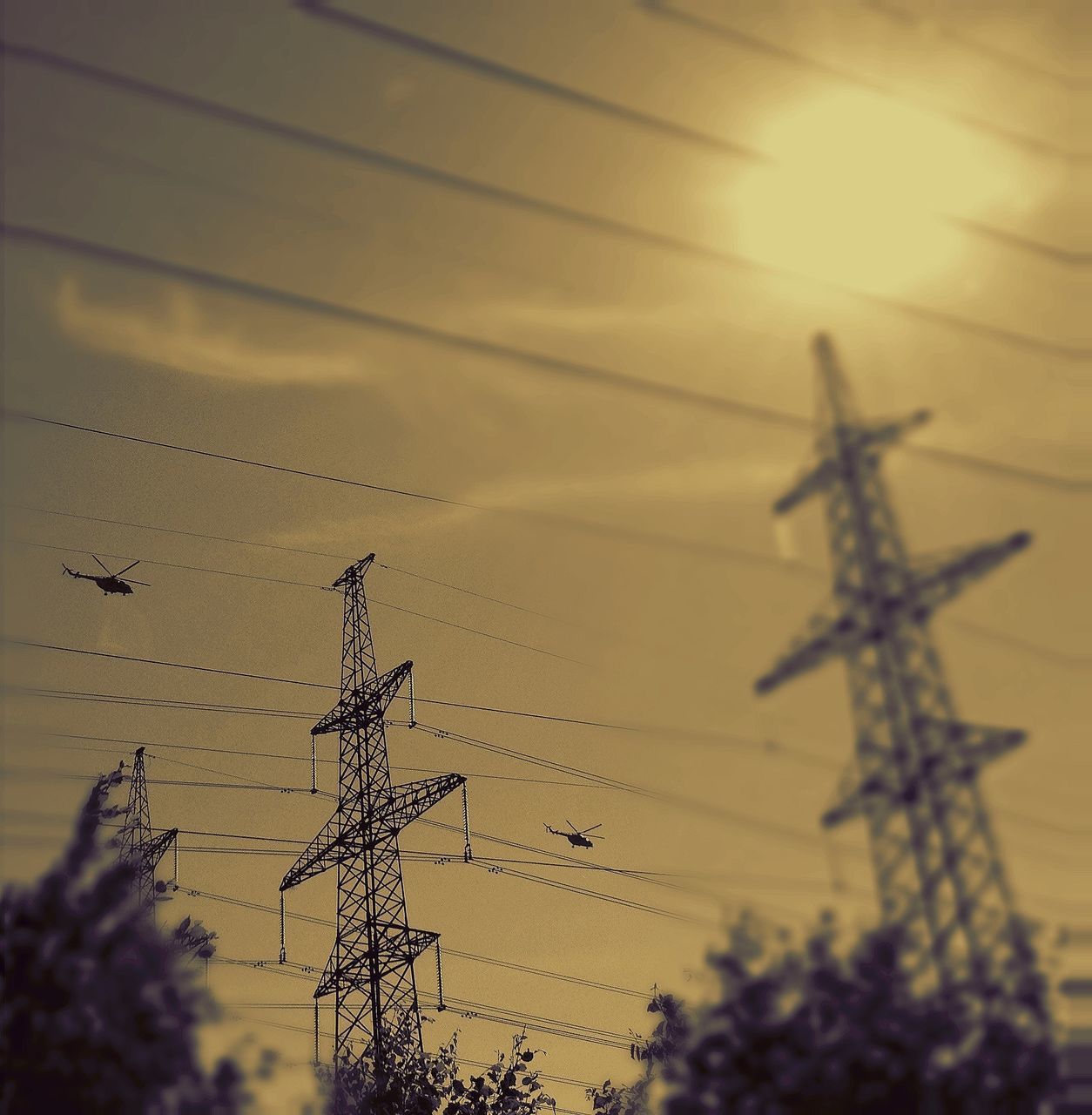 silhouette, sunset, bird, low angle view, sky, sun, fuel and power generation, animal themes, electricity pylon, animals in the wild, flying, technology, power line, electricity, nature, outdoors, wildlife, connection, crane - construction machinery