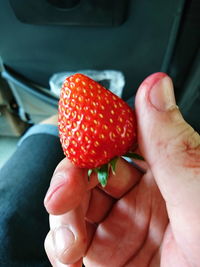 Close-up of hand holding strawberries