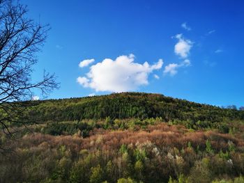 Scenic view of landscape against blue sky