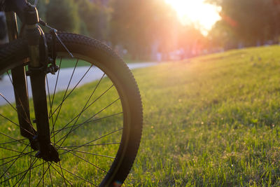 Bicycle front wheel in city park at sunset. sport and healthy lifestyle concept