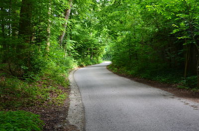 Road amidst trees in forest