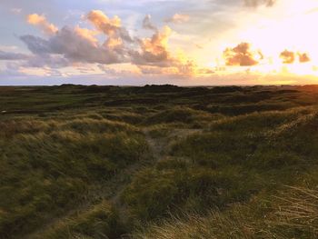 Scenic view of field against sky during sunset