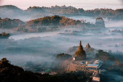 High angle view of trees and buildings against sky