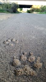 Surface level of road