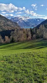 Scenic view of field against sky