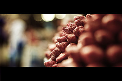 Close up of christmas tree