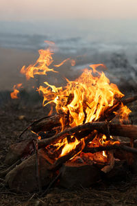 Closeup of flame and bonfire in the evening in winter time, blurred mountain on background.