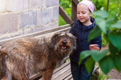 Child combing dog care long fur animal combs for pets love support adoption homeless mongrel shelter