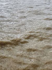 Full frame shot of rippled water