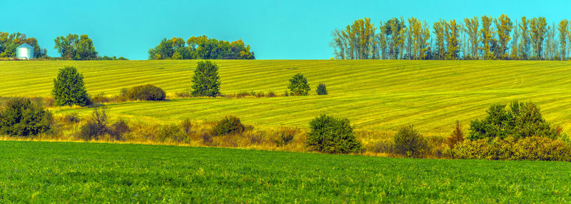 Scenic view of farm against sky