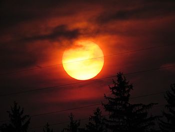 Low angle view of silhouette tree against orange sky