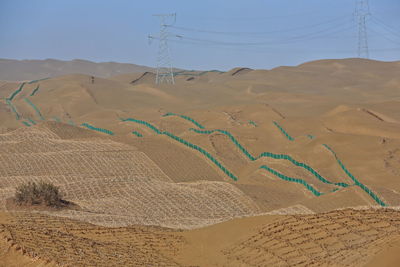 0374 reed barriers-taqie branch of lunmin hwy.-tract of tarim desert hwy.across the taklamakan-china