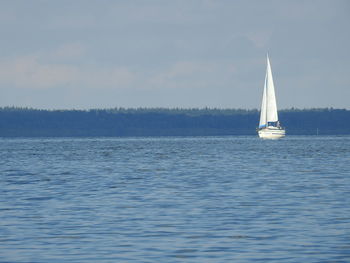 Sailboat sailing in calm blue sea against sky