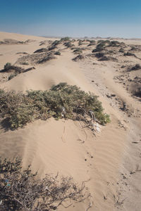 Scenic view of desert against sky