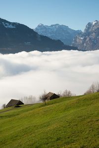 Scenic view of an alpine landscape with view above the clouded 