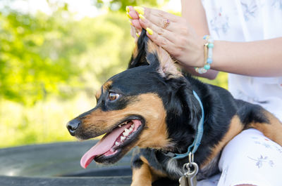 Midsection of woman with dog