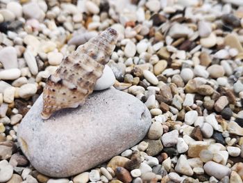 High angle view of stones on pebbles