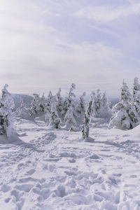 Scenic view of snowcapped landscape against sky