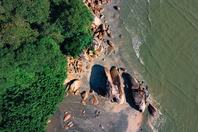 High angle view of rocks on beach