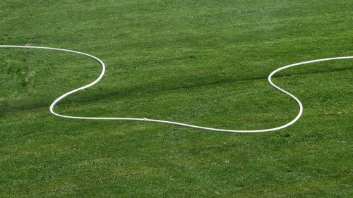 High angle view of grass