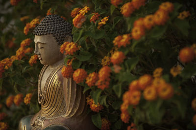 Close-up of statue against plants