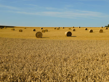 Hay bales on field against sky